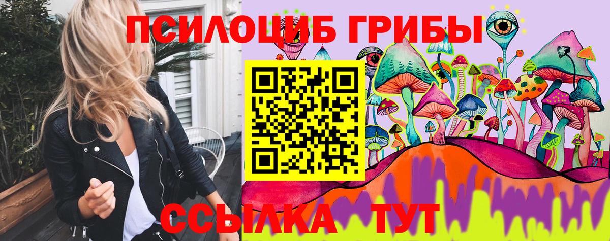 Альфа ПВП Дальнегорск