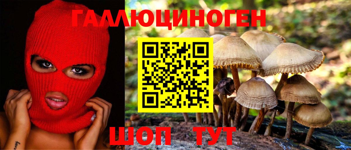 Дальнегорск  Вход с VPN  Мефедрон   ГАШ  Бошки Шишки  COCAIN  NBOMe 