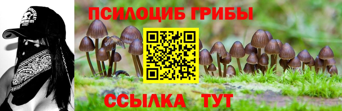 Псилоцибиновые грибы MAGIC MUSHROOMS  Вход с VPN  Галлюциногенные грибы Psilocybine cubensis  Дальнегорск 